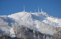札幌手稻滑雪場滑雪專車接送方案