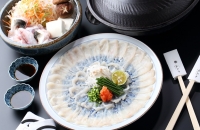 Luxurious Naniwatei Puffer Fish Full Course (10 course items) 