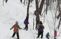 三笠GEO公园的森林中体验雪鞋行走，享用EKARA特制午餐盒和热葡萄酒（附赠饮品）