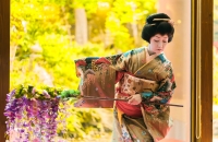 【SD045】ELM GARDEN Sapporo Kaiseki Lunch | 80-Year Garden & Traditional Dance Performance [Autumn] 